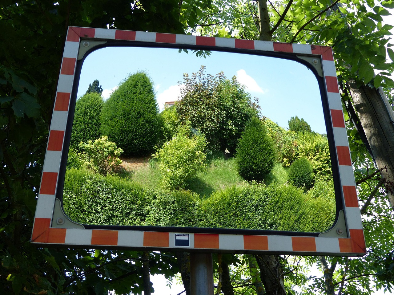 picture frame showing nature scene